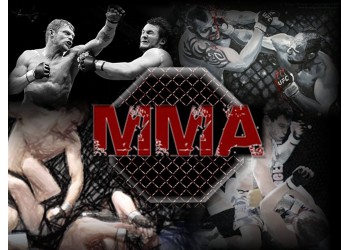 Мотивация MMA - философия и видео